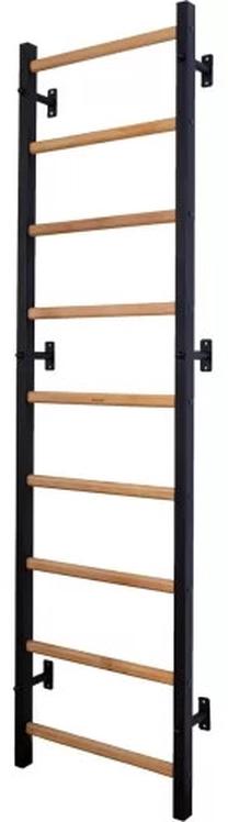 Vingrošanas siena BenchK Gymnastic Wall 310B, 67 cm, 20 kg