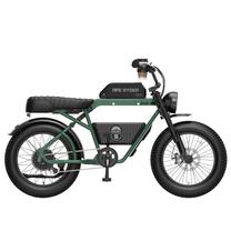 Elektrinis dviratis Ape Ryder Bonobo, 20", 250 W, 20 Ah, žalia sp.