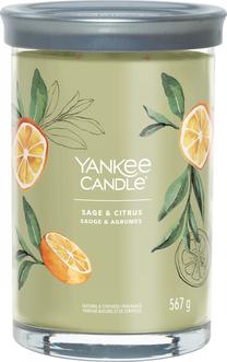 Žvakė, aromatinė Yankee Candle Signature Sage & Citrus, 60 - 100 h, 567 g, žalia sp.