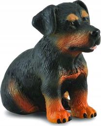 Žaislinė figūrėlė Collecta Rottweiler Puppy 88190, 4 cm, ruda sp./juoda sp.