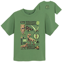 T-krekls, neformāls pavasaris/vasara, bērniem Cool Club Jurassic World LCB2821089, zaļa krās., 158 cm