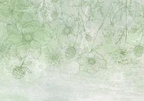 Fototapete Artgeist Flowery Meadow - Nature With Field Flowers Lineart On Green Background, 280 cm x 280 cm