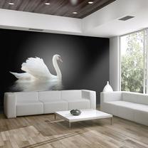 Фотообои Artgeist Swan (Black And White) 4XLFTNT0112SAM, 309 см x 392 см