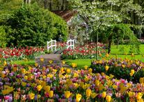 Dėlionė Ravensburger Gardens Keukenhof Holand, 70 cm x 50 cm, 1000 vnt.