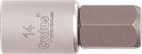 Įrankis Cyclus Tools Hexagon Socket TOOL797, plienas, pilka sp.