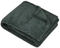 Pledas Lovely Columbia P2C684004, žalia sp., 130 cm x 160 cm