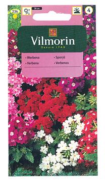 Sėklos Vilmorin verbena, 3.8 g