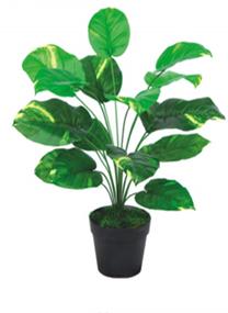 Dirbtinis augalas vazone MN JWS2063-5, žalia sp., 60 cm x 11 cm