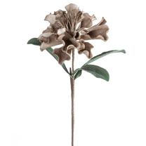 Dirbtinė gėlė Flore 873, smėlio sp., 75 cm x 30 cm