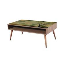 Kavos staliukas Kalune Design Viva 729, ruda sp./žalia sp., 60 cm x 110 cm x 45 cm