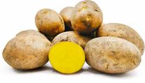 Seemned Horticom, kartul, 10000 g
