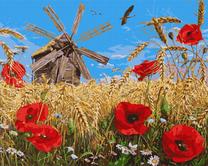 Glezna pēc numuriem Ideyka New Harvest, balta krās.