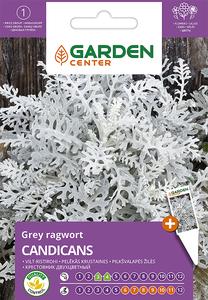 Sėklos Garden Center žilė Candicans, 0.2 g