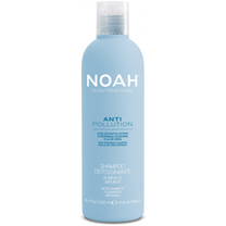 Šampūnas Noah Anti Pollution Detox, 250 ml