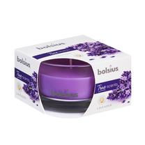 Žvakė, aromatinė Bolsius, 14 h, violetinė sp.