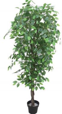 Dirbtinis augalas vazone MN JWS3007, žalia sp., 110 cm