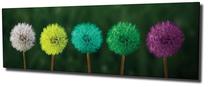 Reprodukcija Wallity PC93, 80 cm x 30 cm