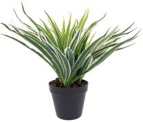 Искусственное растение в горшке Home4you Green Grass, черный цв./зеленый цв., 30 см