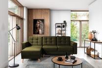Kampinė sofa Asgard L Monolith 38, žalia sp., 162 x 248 cm x 93 cm