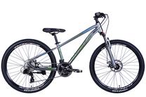 Dviratis kalnų Formula, 26 ", 13" rėmas, sidabro sp./žalia sp.
