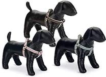 Petnešos šunims Beeztees Harness, mėtinė (mint) sp., 350 - 600 mm x 15 mm, 35-60X15