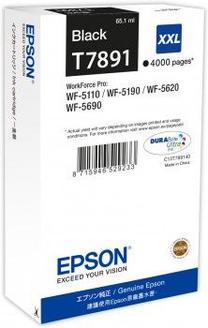Rašalinio spausdintuvo kasetė Epson T7891, juoda sp.
