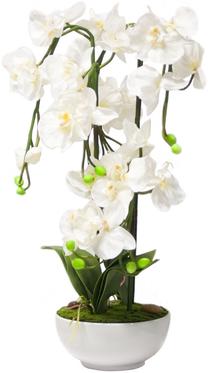 Dirbtinė gėlė Home4you, balta sp., 80 cm