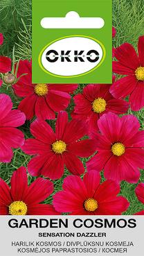 Sėklos Okko kosmėja Sensation Dazzler, 1 g