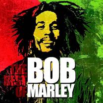 Vinilinė plokštelė Bob Marley The Best Of Reggae