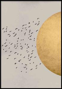 Pilt DecoKing Birds, 50 cm x 70 cm