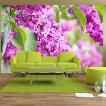 Fototapete Artgeist Lilac Flowers MNEW010640, 105 cm x 150 cm