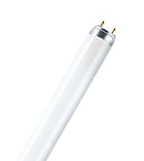 Lemputė Narva Liuminescencinė, T8, 3000 °K, G13, 36 W, 3350 lm