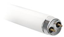 Spuldze Actis, G13, 1300 lm