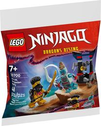 Konstruktorius LEGO® Arin vs. Dragonian Battle 30700, 48 vnt.