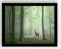 Pilt Wallity SC0368, 56 cm x 41 cm