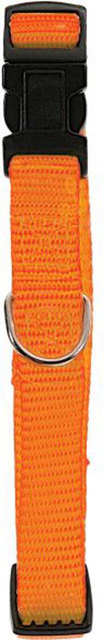 Ошейник для собак Zolux Nylon, oранжевый цв., 260 - 380 мм x 15 мм, 26-38