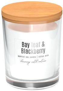 Svece, aromātiskā Bispol Harmony With Nature Bay Leaf & Blackberry, 28 h, 130 g, balta krās.