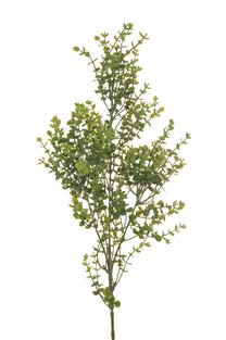 Dirbtinė šakelė, eukaliptas, įvairių spalvų/(spalva/dizainas parenkami atsitiktine tvarka), 78 cm