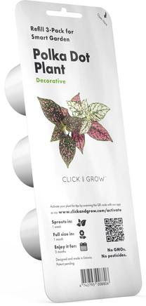 Išmanios daigyklos sėklos Click & Grow, turkleniai, 40 g, 3 vnt.