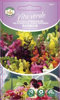 Seemned Vita Verde lõvilõug Rainbow Antirrhinum Majus L