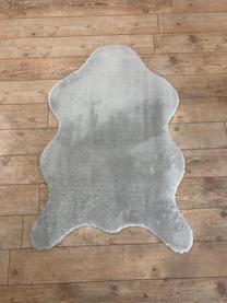 Kilimas Conceptum Hypnose Post Plush 202BLY1203, šviesiai pilka sp., 120 cm x 80 cm