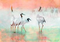 Fototapete Artgeist Cranes In Pastels, 140 cm x 200 cm