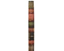 Ietinamais papīrs Decoris Books, 70 cm x 200 cm, daudzkrāsaina