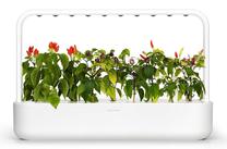 Išmanioji daigykla Click & Grow SG-9, balta sp.