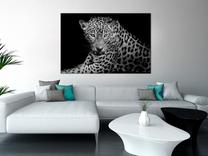 Reprodukcija Artgeist Leopard Portrait N7927-DKPWD, 120 cm x 80 cm