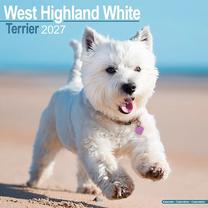 Sienas kalendārs Flamingo Calendar 27 West Highland White Terrier, daudzkrāsaina, 29.5 cm x 29.5 cm