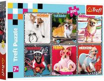 Dėlionė Trefl Happy dogs 13279, 48 cm x 34 cm, 200 vnt., įvairių spalvų
