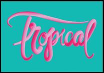Pilt DecoKing Bubblegum Tropical, 50 cm x 70 cm