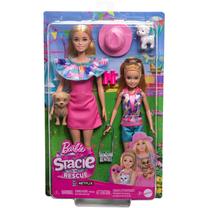 Lėlių rinkinys Mattel Barbie HRM09, 29 cm, įvairių spalvų