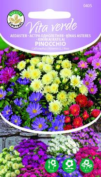 Seemned Vita Verde hiina aedaster Pinocchio Callistephus Chinensis L. Ness
